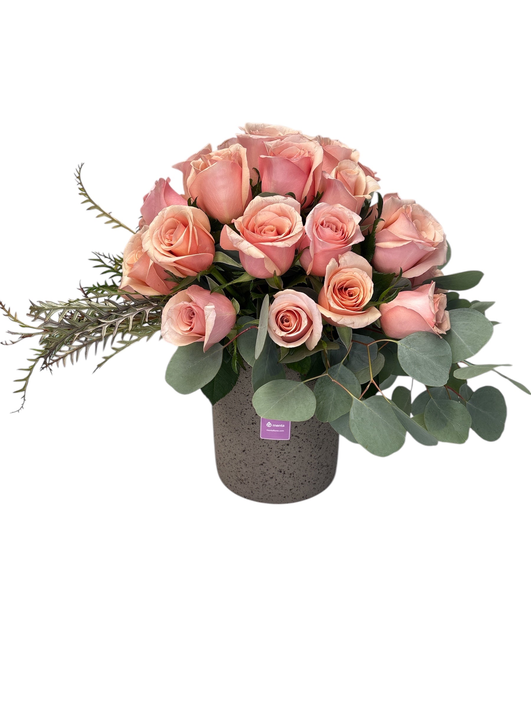 Paloma - base de cemento con 24 rosas rosas