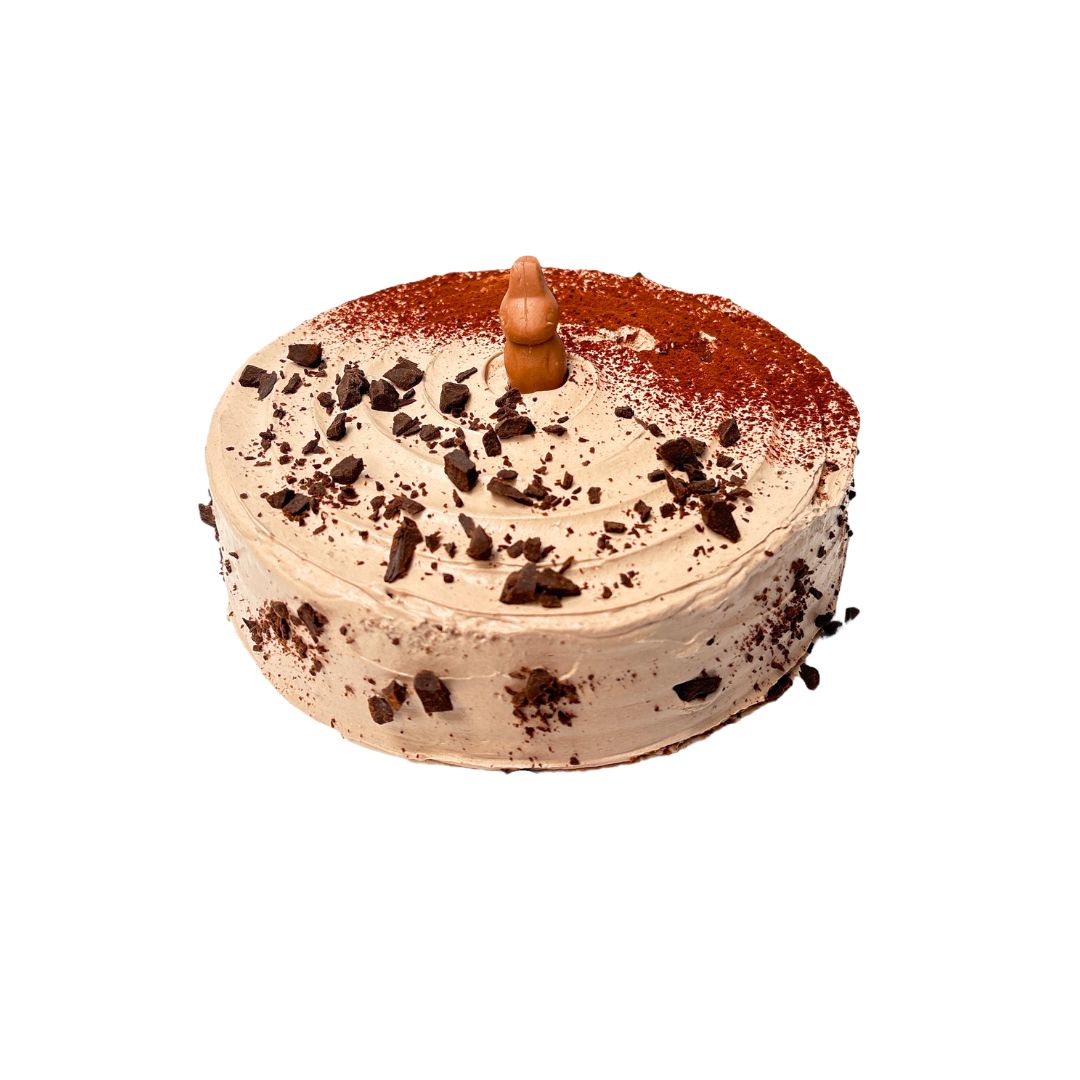 Pastel grande de conejito turín-chocolate