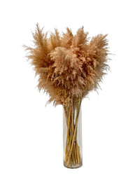 Pampas decorativas en florero de vidrio