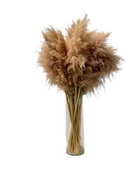 Pampas decorativas en florero de vidrio