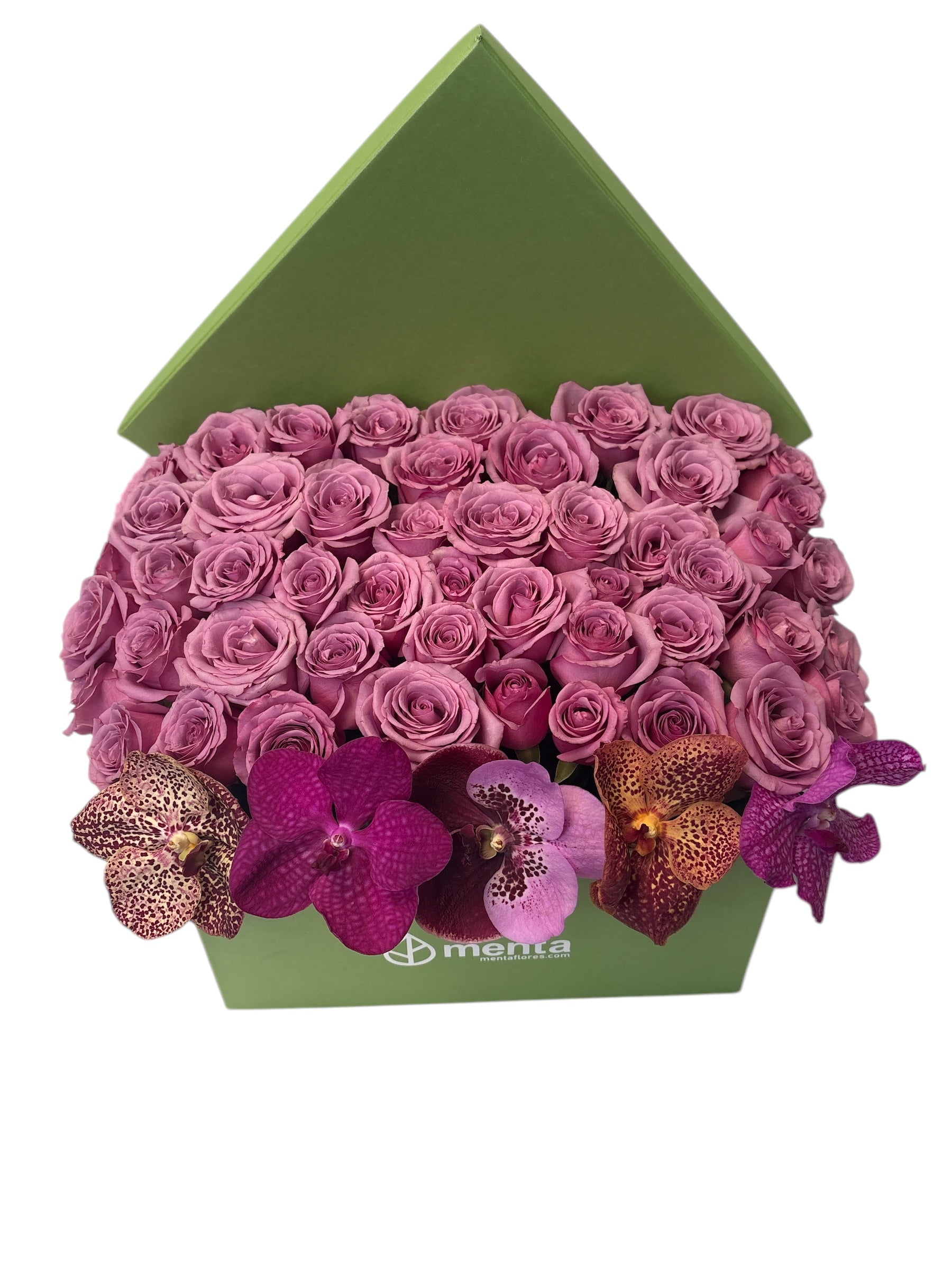 Etiqueta Versalles-caja cuadrada verde con 48 rosas aqua y orquídea vanda