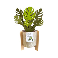 Tarjeta Pop Up 3D-Planta de papel con maceta