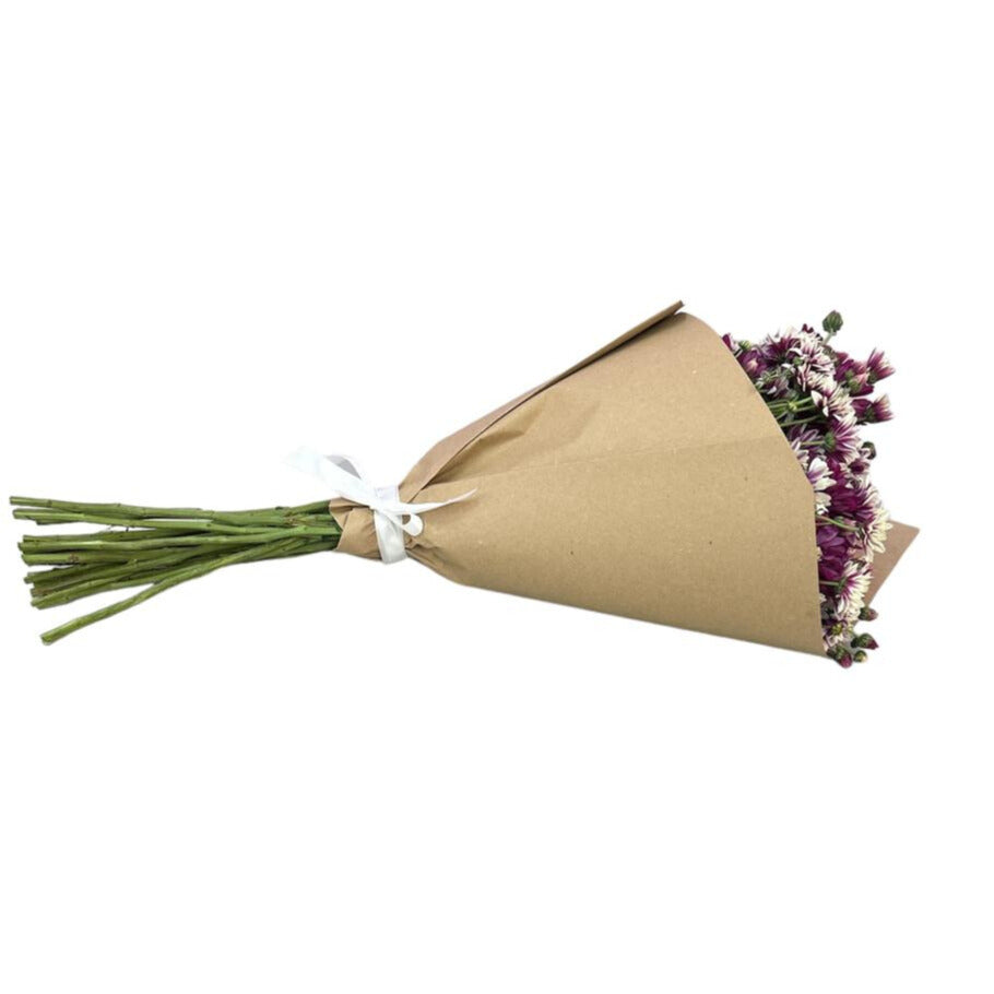 Ramo de Margaritas bicolor