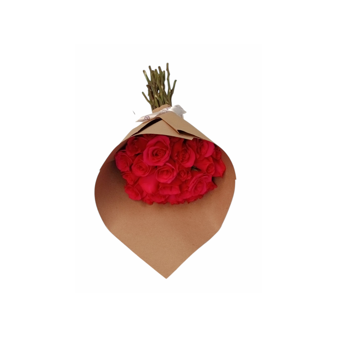 Ramo de 24 rosas fiusha – Menta Flores 🇲🇽