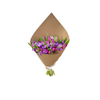 Ramo de 20 tulipanes morado
