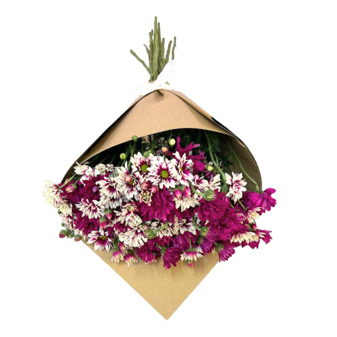 Ramo de Margaritas bicolor