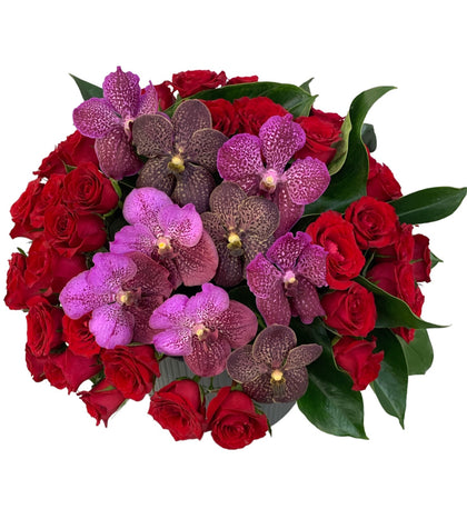 Triana-maceta de metal con 48 rosas rojas y orquídea vanda