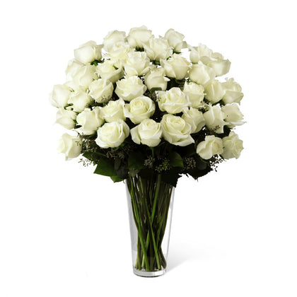 Sofia - Florero con 48 rosas blancas