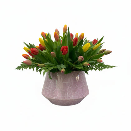 Salma-maceta de cerámica esmaltada lila con blanco con 60 tulipanes de colores