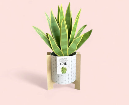 Tarjeta de Sábila Pop-Up con base