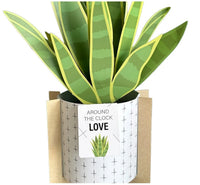 Tarjeta de Sábila Pop-Up con base