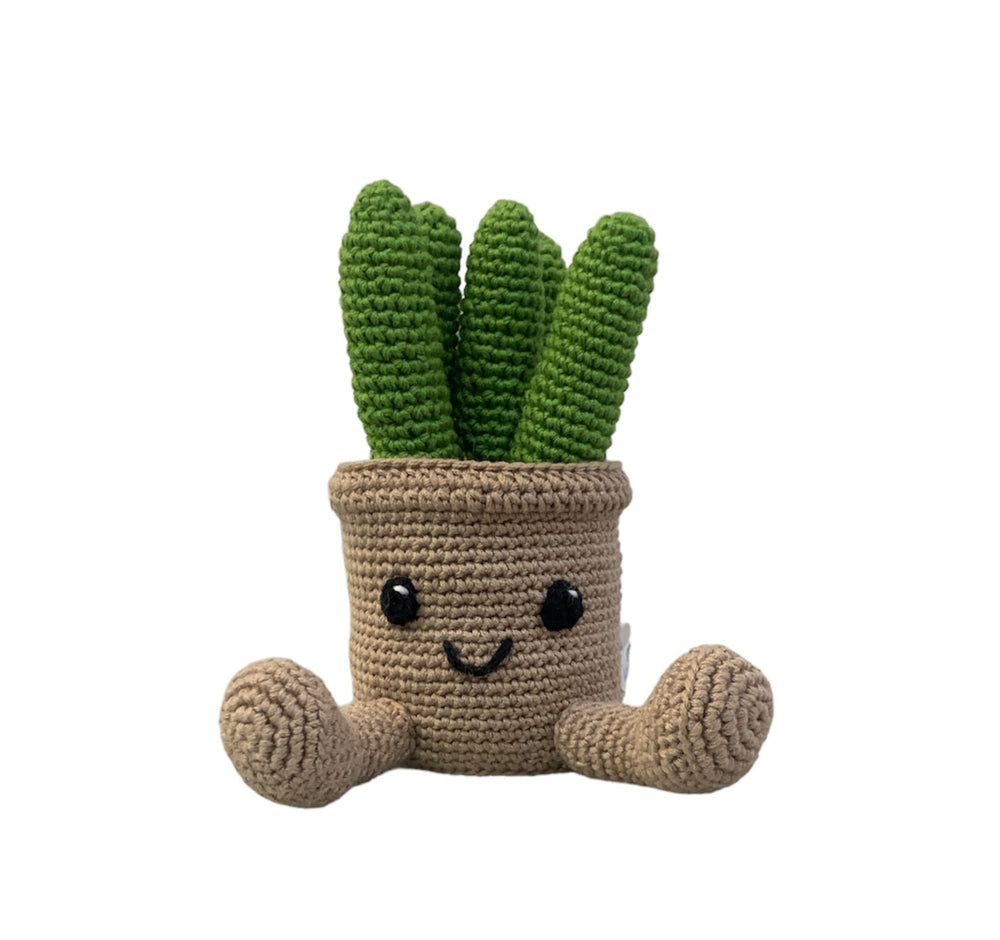 Suculentas - cactus de peluche