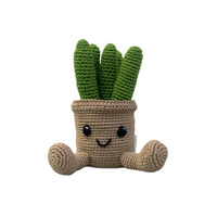 Suculentas-cactus de peluche