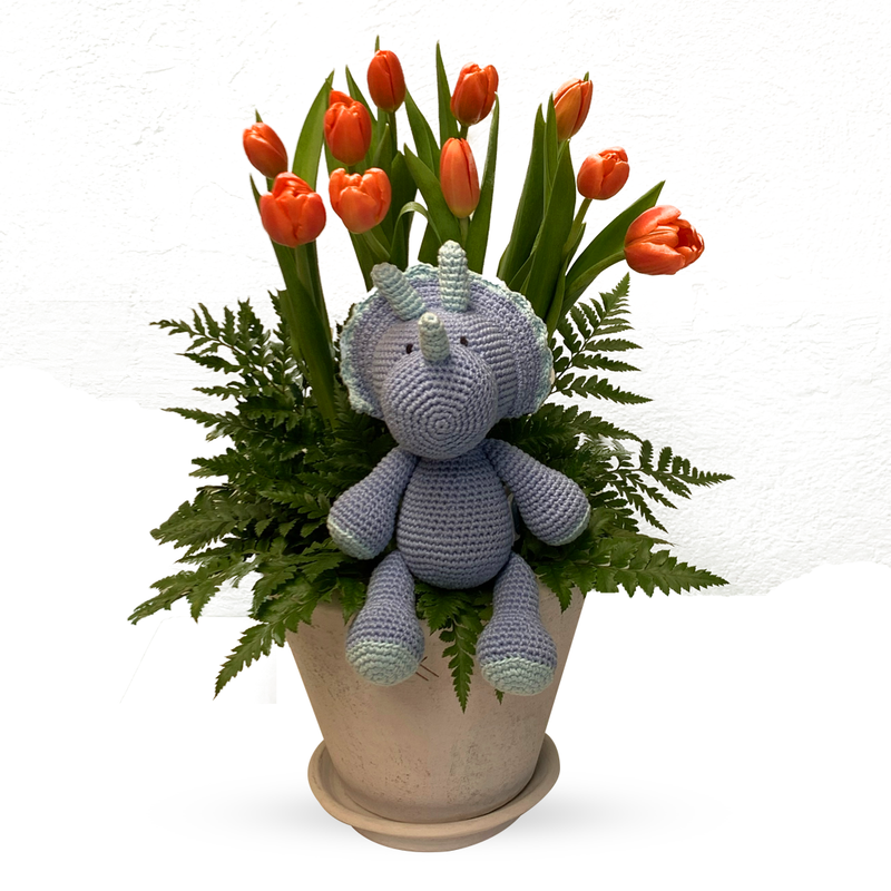 Galia-maceta con 20 tulipanes y dinosaurio de peluche
