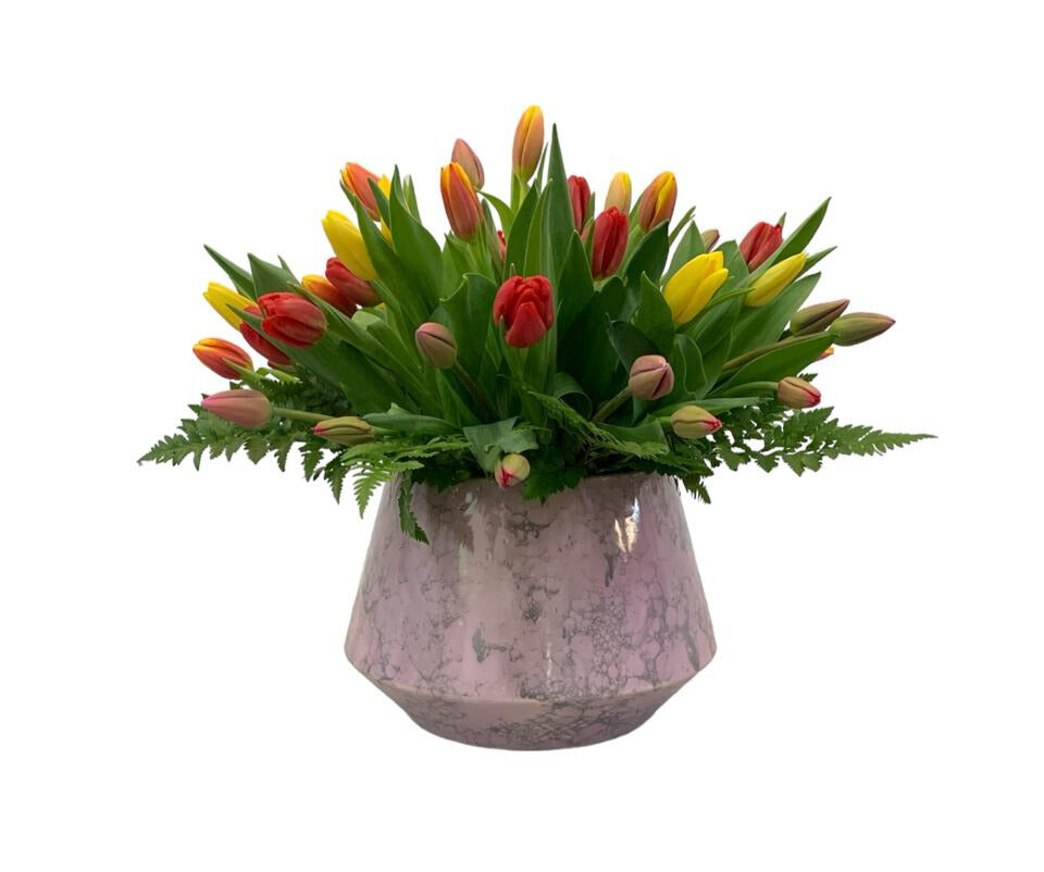 Salma-maceta de cerámica esmaltada lila con blanco con 60 tulipanes de colores