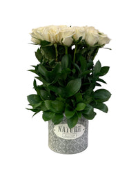 Virginia-maceta de metal con 24 rosas blancas