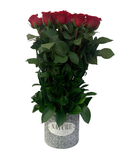 Virginia-maceta de metal con 24 rosas rojas