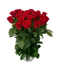 Virginia-maceta de metal con 24 rosas rojas