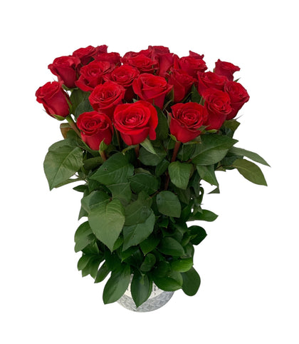 Virginia-maceta de metal con 24 rosas rojas
