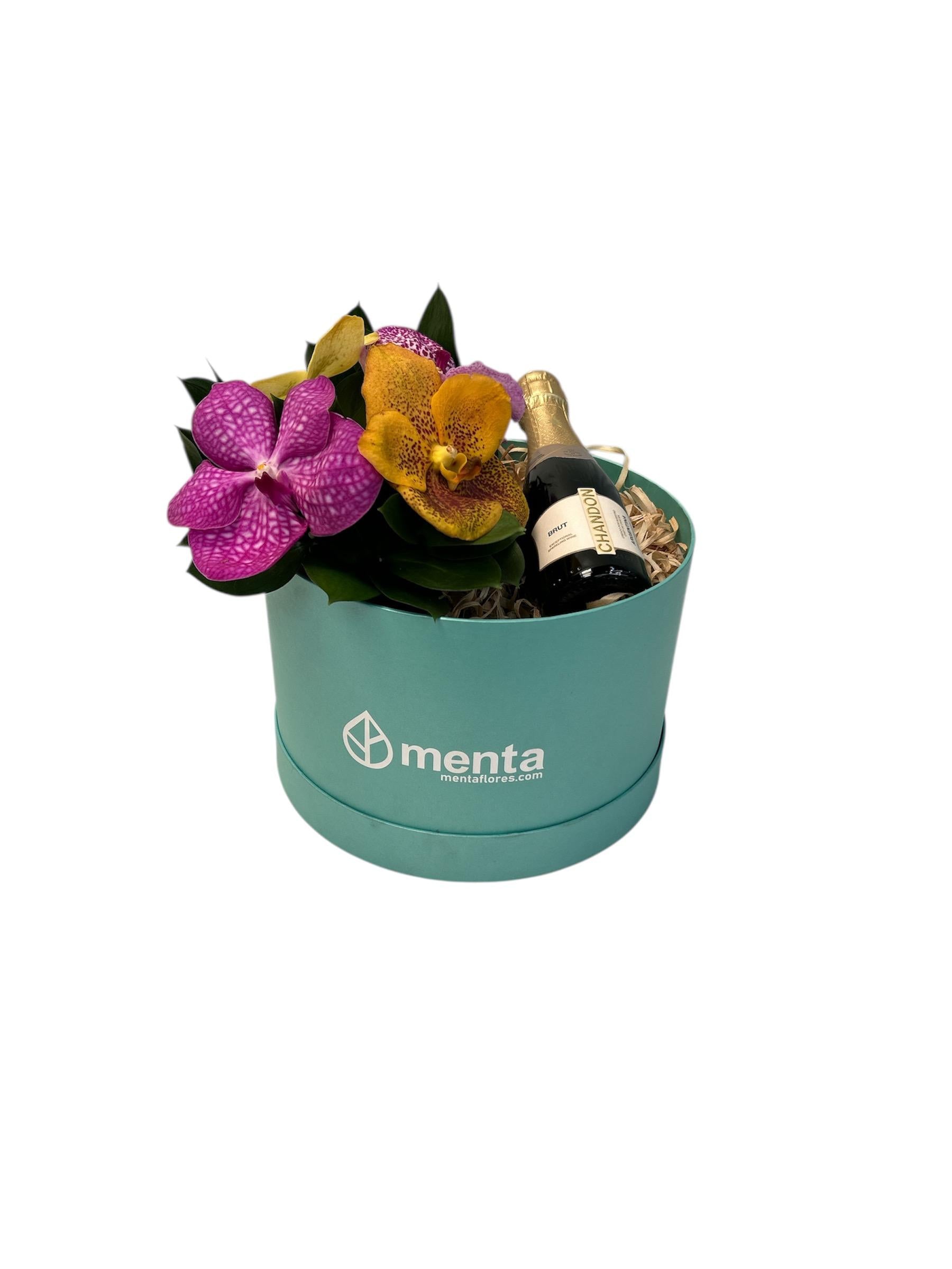 Zirconia-caja redonda menta con orquídeas vanda y bebida