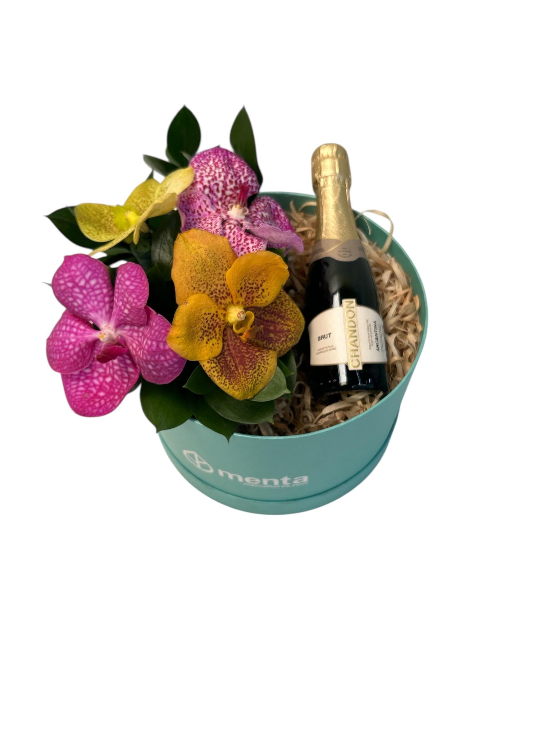 Zirconia-caja redonda menta con orquídeas vanda y bebida