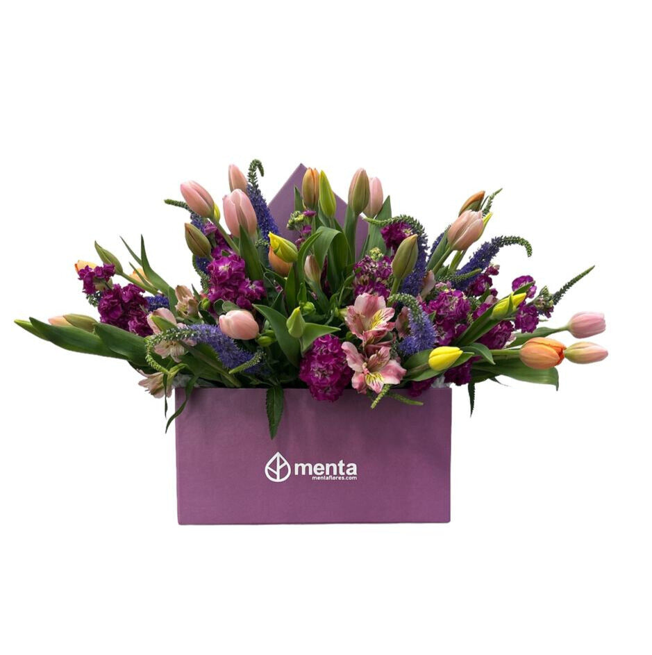 Vanessa-caja cuadrada uva con tulipanes y matiola