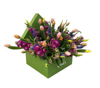 Vanessa-caja cuadrada verde con tulipanes y matiola