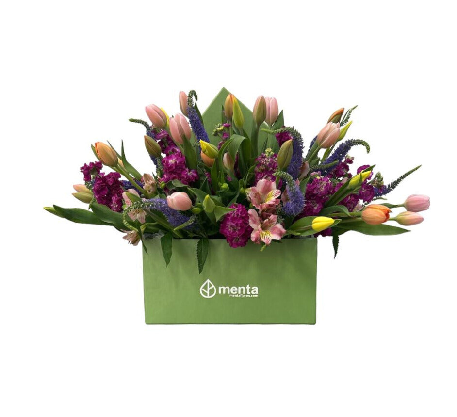 Vanessa - caja cuadrada verde con tulipanes y matiola