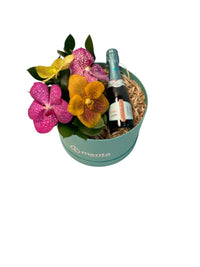 Delice-caja redonda menta con orquídeas vanda y bebida