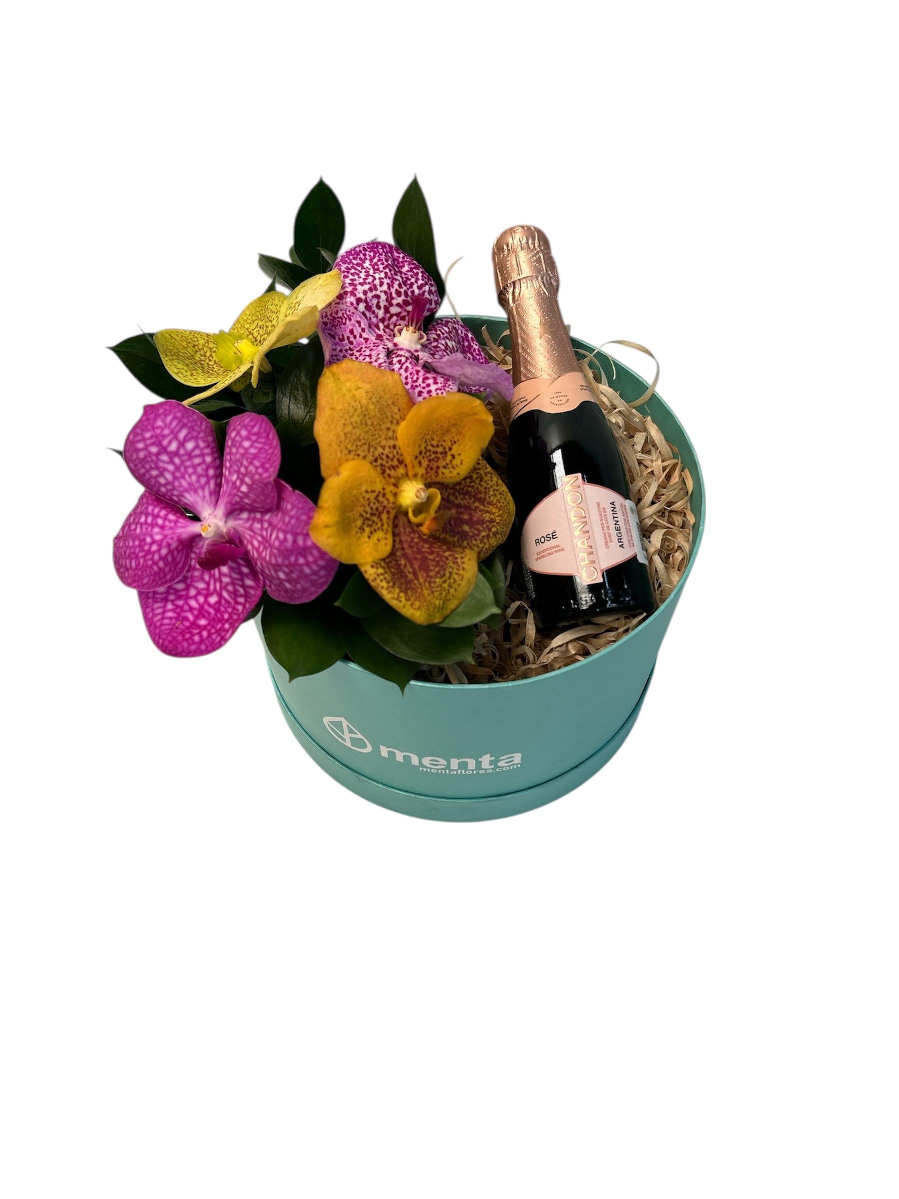 Amatista-caja redonda menta con orquídeas vanda y bebida