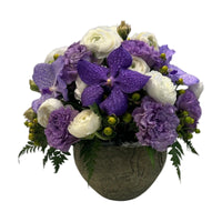 Ava-maceta de cemento con lisianthus morado orquídeas vanda