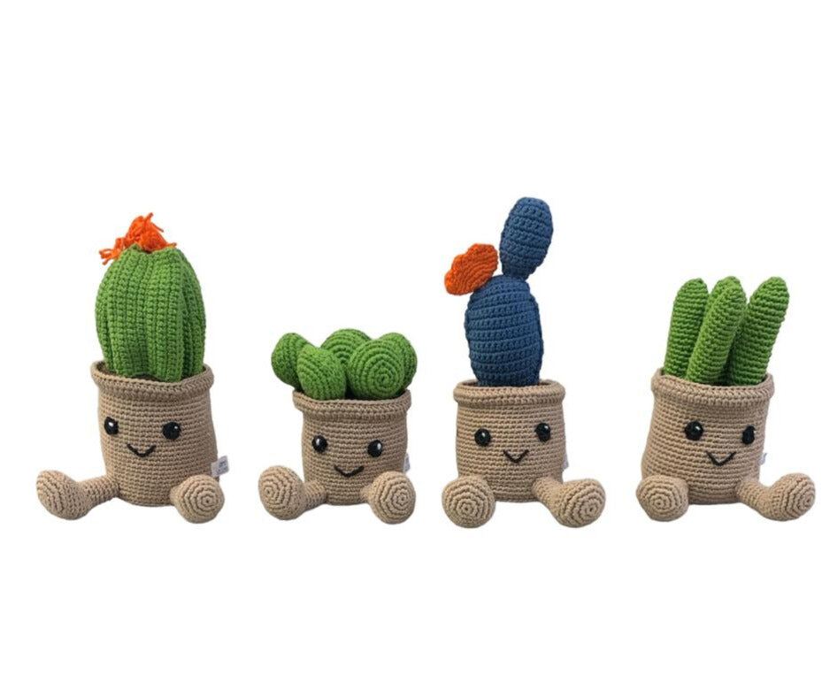 Suculentas-cactus de peluche