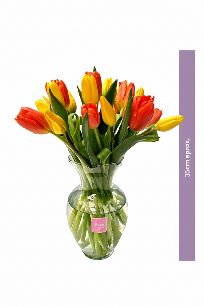 Liz - florero de vidrio con 20 tulipanes mixtos