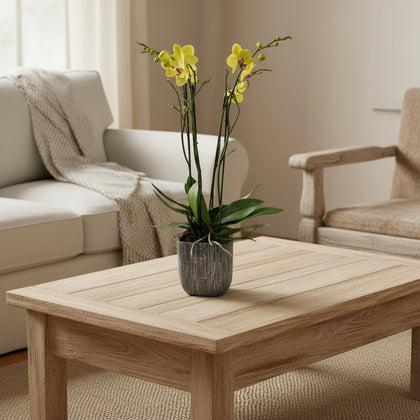 Oxford-base de cerámica con dos orquídeas amarillas