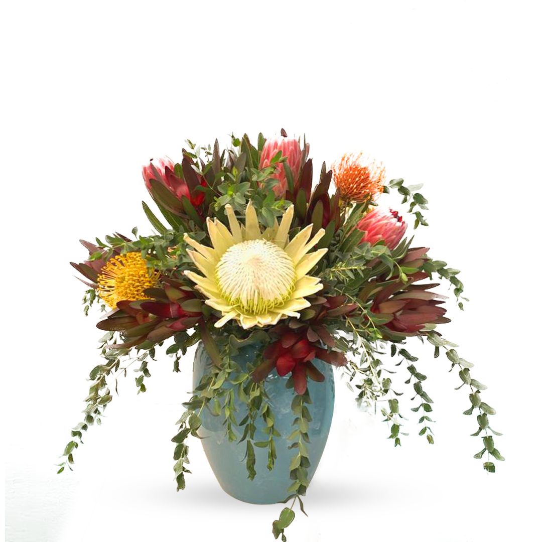 Proteas Vallarta-florero de cerámica con proteas