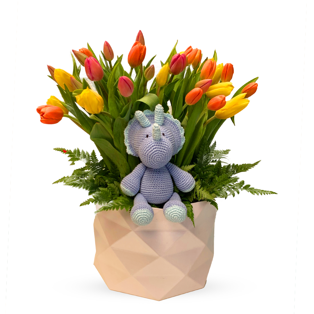 Dinora-caja con 30 tulipanes y dinosaurio de peluche