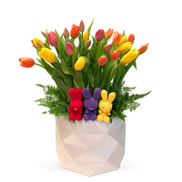 Larisa-caja con 30 tulipanes y kit 3 Luca