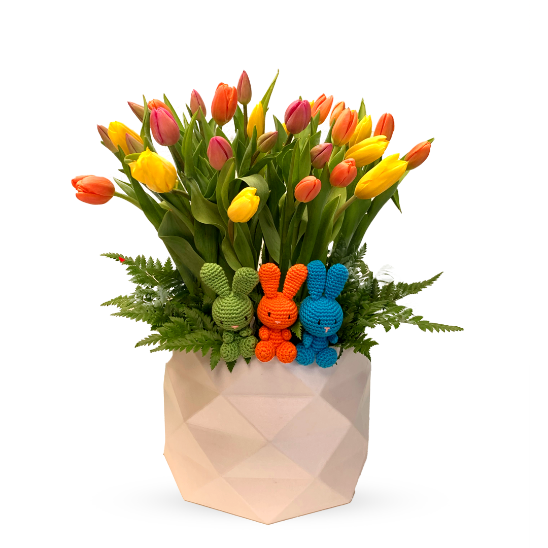 Larisa-caja con 30 tulipanes y kit 3 Luca