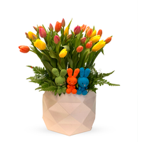 Larisa-caja con 30 tulipanes y kit 3 Luca