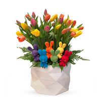 Luca-caja con 30 tulipanes y kit Luca 6 peluches
