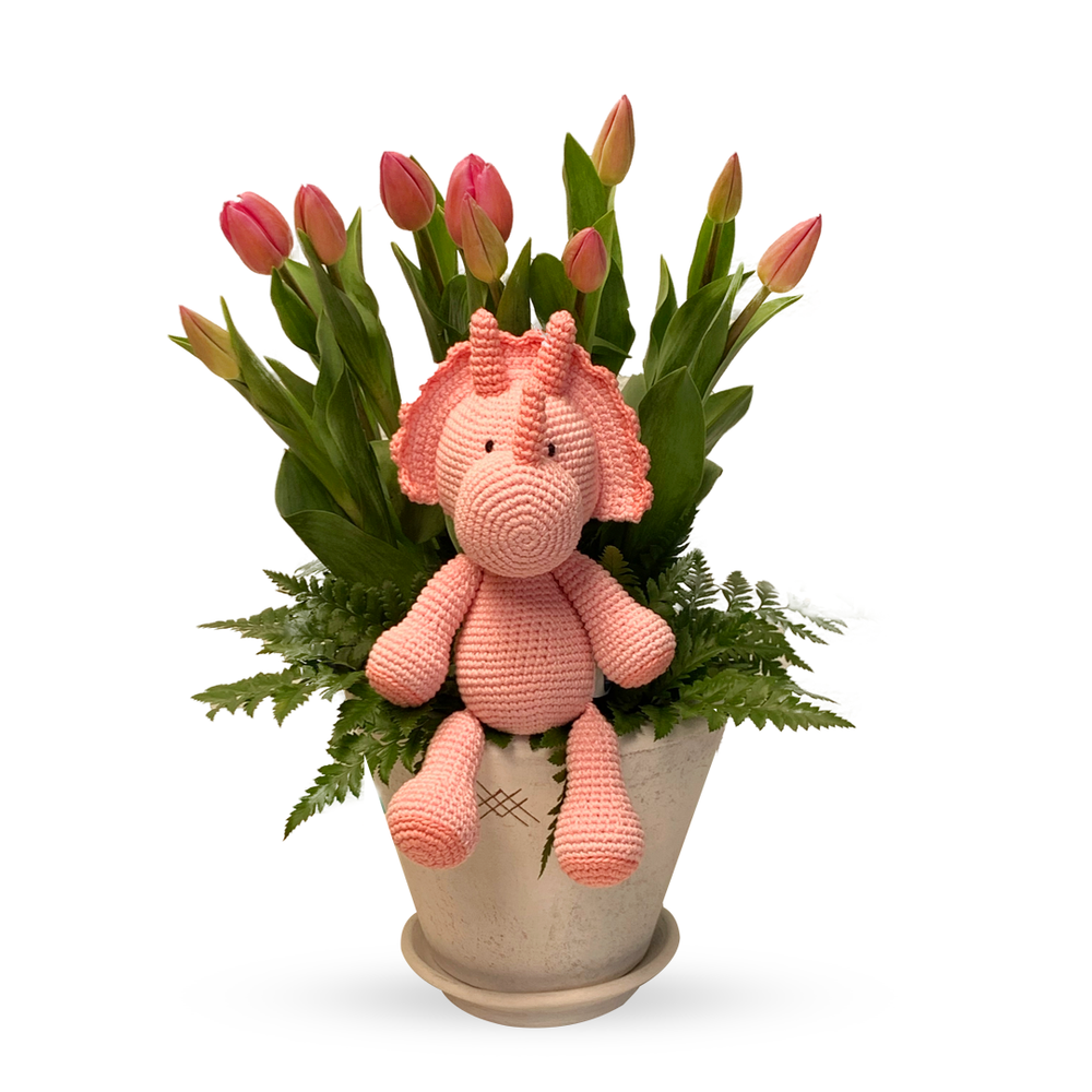 Adamari - maceta con 20 tulipanes y dinosauria de peluche