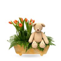 Jessica-maceta con 20 tulipanes y oso de peluche