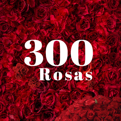 300 rosas- trescientos tallos de rosa roja