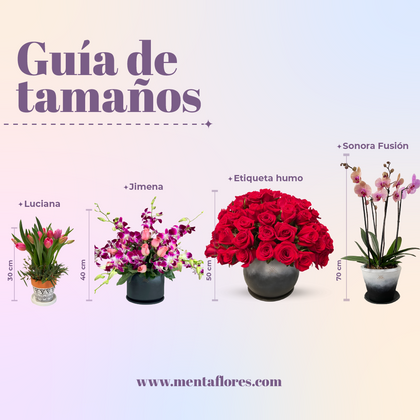Olivia-base de cemento con orquídea dendrobium y follaje