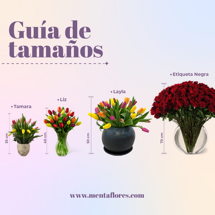 Etiqueta Holandesa-caja con 50 tulipanes de colores