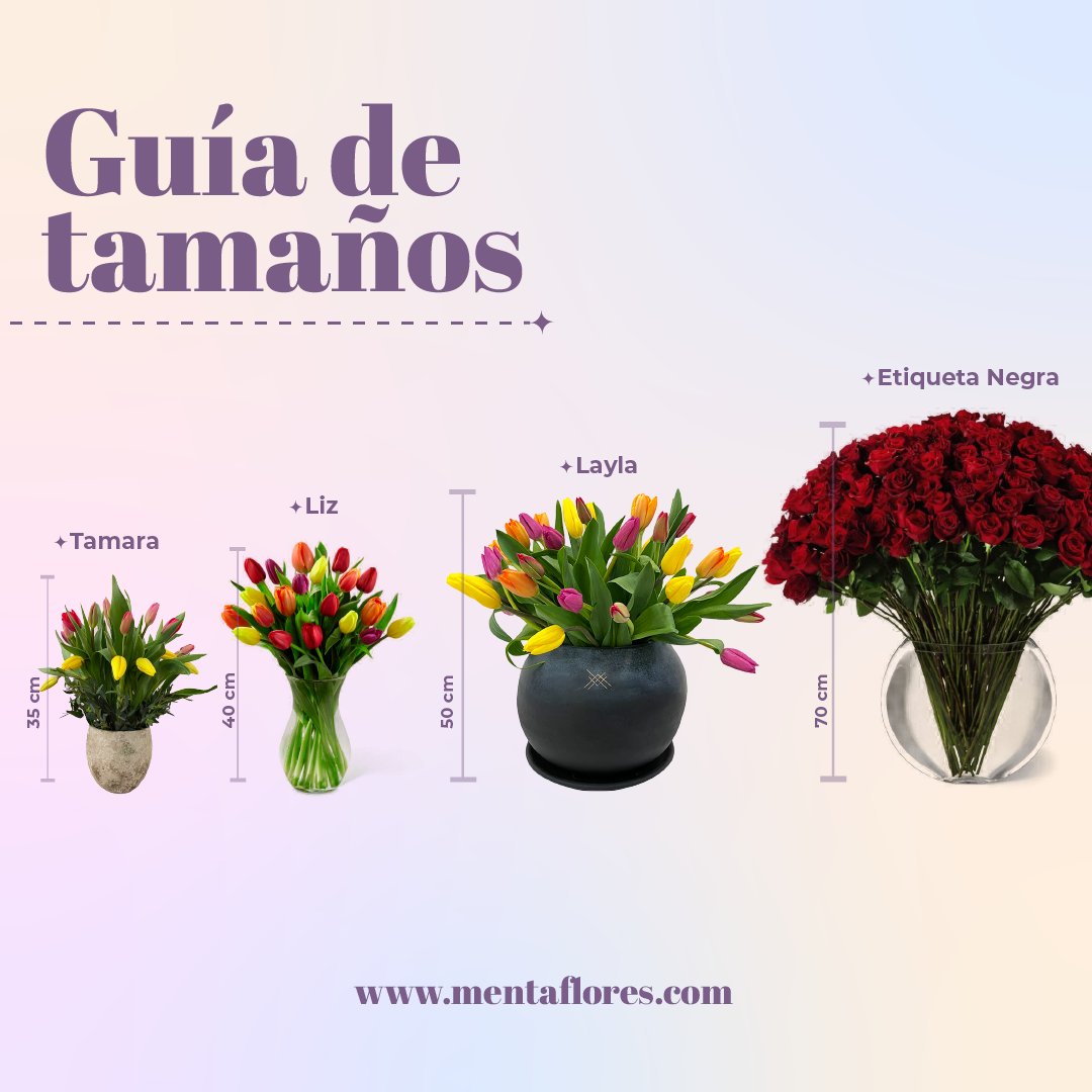 Megan - Florero de vidrio con 30 tulipanes mixtos