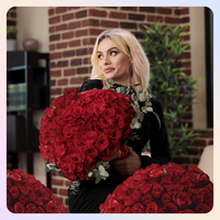 500 rosas- 500 tallos de rosa roja