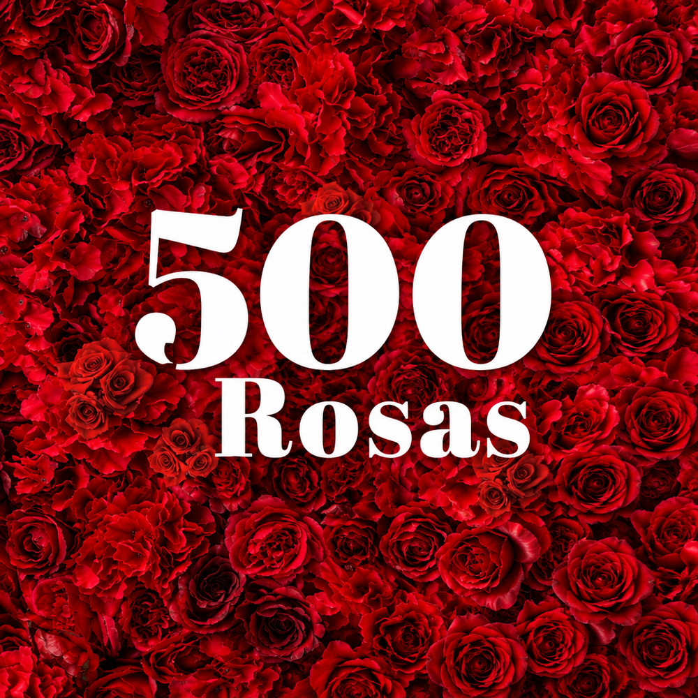 500 rosas - 500 tallos de rosa roja