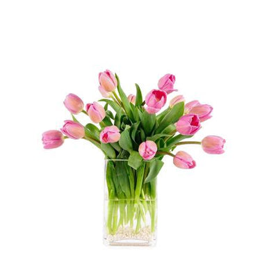 Camila - florero rectangular con 20 tulipanes barcelona