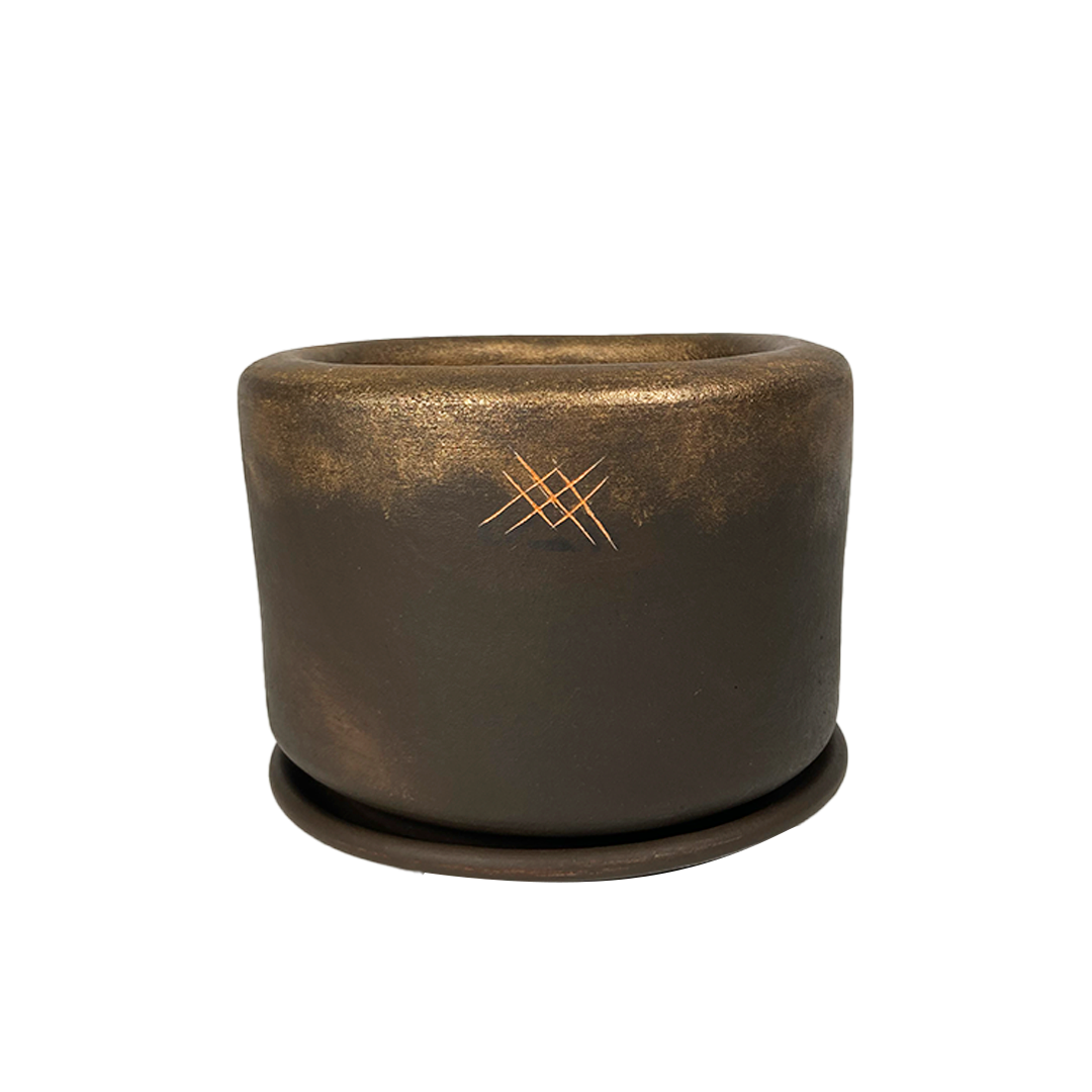 Phalaenopsis Oro Café- Maceta de cerámica con dos orquídeas  color fiusha